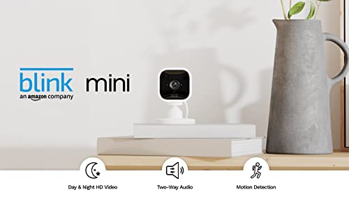 Blink Mini | Indoor plug-in pet security camera, 1080p HD day and night video, motion detection, two-way audio, easy setup, Alexa enabled — 1 camera (White)