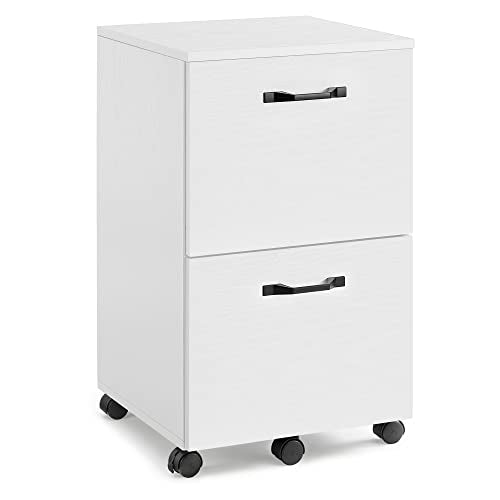 - VASAGLE 2-Drawer Filing Cabinet -
