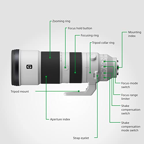 - Sony SEL200600G | High-Resolution | Full Frame | Super Telephoto Zoom G Lens -