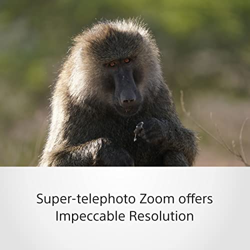 - Sony SEL200600G | High-Resolution | Full Frame | Super Telephoto Zoom G Lens -