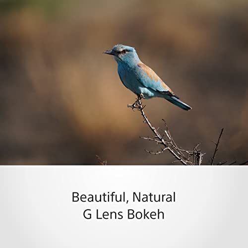 - Sony SEL200600G | High-Resolution | Full Frame | Super Telephoto Zoom G Lens -