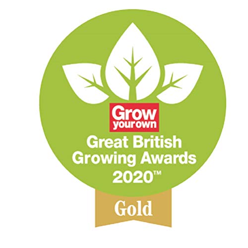 - Spear & Jackson 2000AC | MYD Steel Taper Shovel | Blue , Grey -