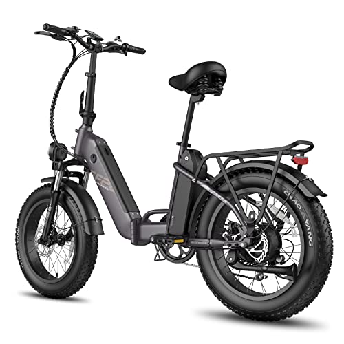 - Fafrees FF20 Polar Fatbike E Bike Men's 20 Inch 48V 10.4Ah*2 Batteries UK Plug -