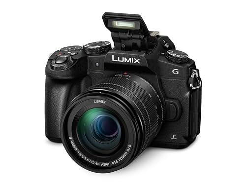 - Panasonic LUMIX DMC-G80MEB-K Professional Camera | 12-60 mm Lens -