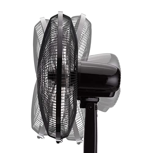 Amazon Basics Height & Tilt Angle Adjustable Oscillating Digital Dual 3-Blade 3-Speed Standing Pedestal Fan with Remote Control, Black