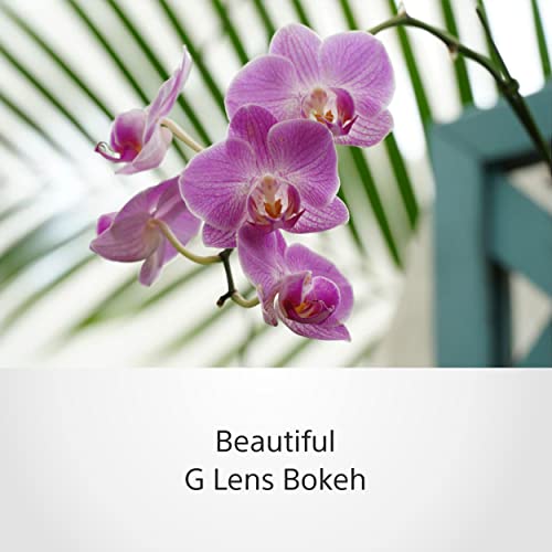 - Sony E PZ 18-105 mm f/4.0 G | APS-C, Power Zoom Lens -