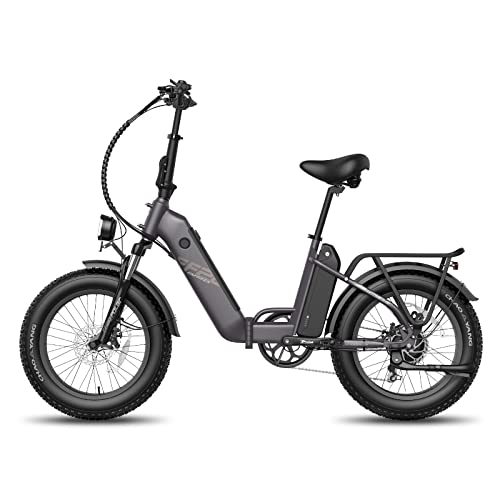 - Fafrees FF20 Polar Fatbike E Bike Men's 20 Inch 48V 10.4Ah*2 Batteries UK Plug -