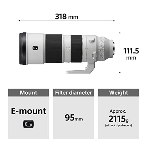 - Sony SEL200600G | High-Resolution | Full Frame | Super Telephoto Zoom G Lens -