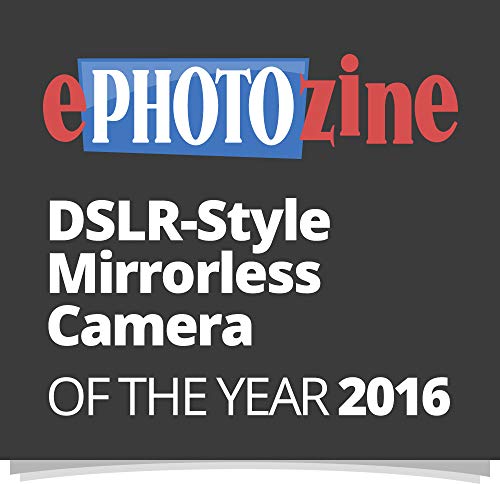 - Panasonic LUMIX DMC-G80MEB-K Professional Camera | 12-60 mm Lens -