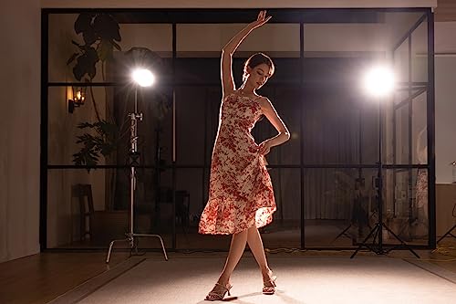 - ZHIYUN MOLUS G200 COB LED Video Light 200W CCT 2700K-6500K Bowens Mount