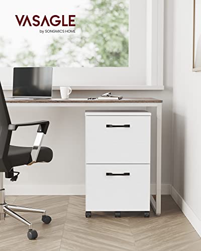 - VASAGLE 2-Drawer Filing Cabinet -