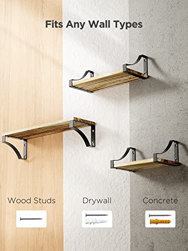 - Pipishell Floating Shelves Wall Mounted Shelf | Paulownia Wood Wall Shelves | Wooden Shelves Set of 3 -