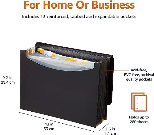 Amazon Basics Expanding File, A4 Size - Black