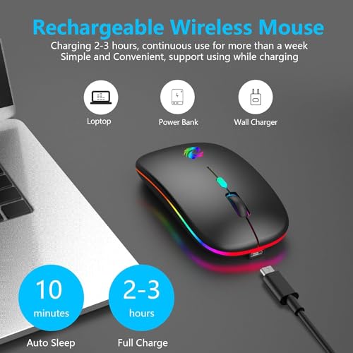 BQSS Wireless Mouse, LED Slim Silent Mice, 2.4G Portable Office Optical Mouse with USB Receiver & Type-C Adapter, 3 Adjustable DPI for Laptop, Computer, PC, Notebook, Desktop (Black)
