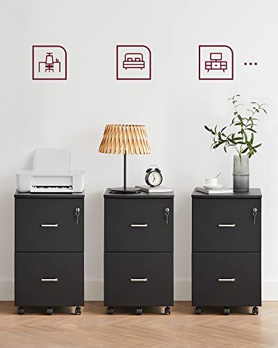 - VASAGLE Filing Cabinet with 2 Drawers -