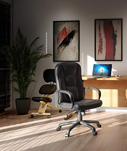 cinius Professional kneeling ergonomic chair with back, in several colours