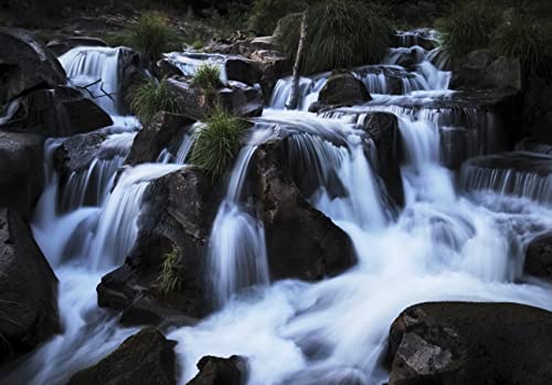 - OM SYSTEM OM-5 Micro Four Thirds System Camera incl. lens | Digital ED 12-45mm PRO -