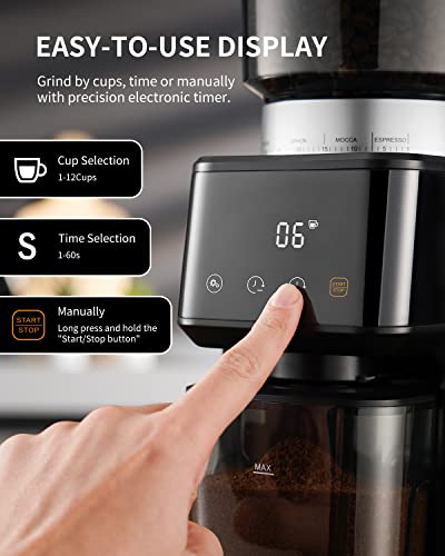 - SHARDOR Conical Burr Coffee Grinder | Electric for Espresso | Precision Electronic Timer -