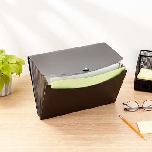Amazon Basics Expanding File, A4 Size - Black