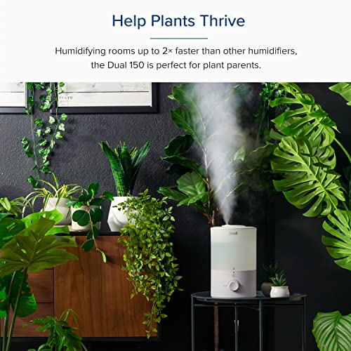 - LEVOIT 3L Humidifier | Cool Mist Humidifier for Home -
