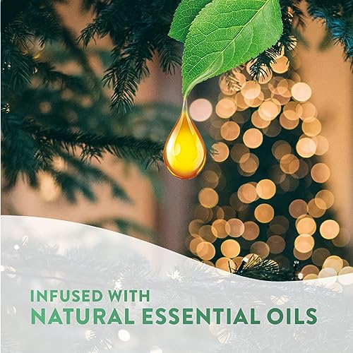 Airwick Essential Mist Diffuser Kit, Pumpkin Spice & Everything Nice,1 Device & 1 refill (20 ml), Natural Essential Oils, Last up to 45 days, Air freshener