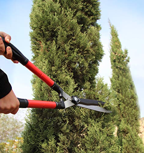 - TABOR TOOLS | Mechanical Extendable Hedge Shears | Manual Hedge Clippers -