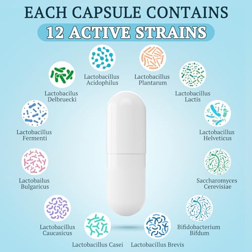 300 Billion CFU Probiotics for Digestive Gut & Immune Health, Advanced Strength Probiotics with 12 Diverse Strains + 3 Prebiotics for Women & Men (60 Count (Pack of 1))