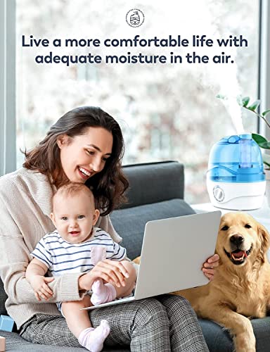 - Aribio Humidifiers | 2.2L Humidifier | Air Humidifier With 10H Continuous Use & Auto-Off -