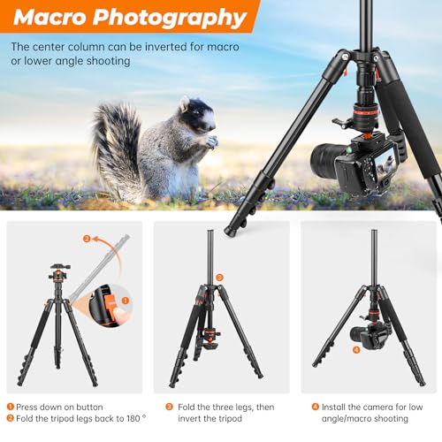 - Victiv 78.7"/ 200cm Camera Tripod, Travel Tripod -