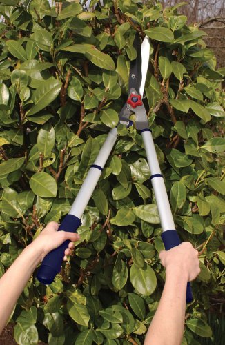 - Spear & Jackson 8120RS/09 |  Razorsharp Telescopic Hedge Shears | Blue -