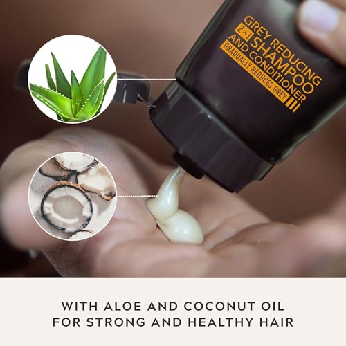 - Just For Men Control GX 2-in-1 Shampoo & Conditioner | Gradually & Permanently Reduces Grey Hair With Each Wash -