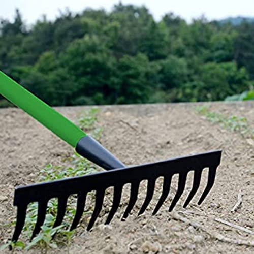 - Rightclick Garden Rake | Heavy Duty | 12 Teeth Carbon Steel Rake For Gardening |  Soft Grip | 32 x 120cm -