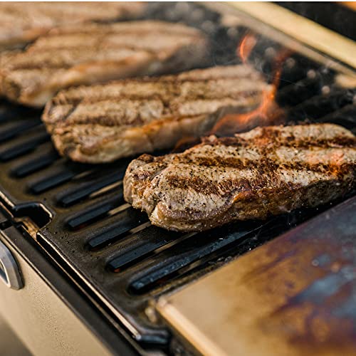 - Masterbuilt Portable Charcoal Grill and Smoker | Analog Temperature Control -