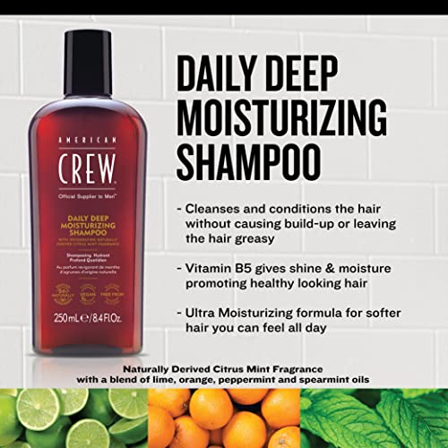 American Crew Daily Deep Moisturising Shampoo, Vegan & Silicone Free (250ml) to Nourish & Detangle Hair, Normal & Dry Hair, Formulated for Men