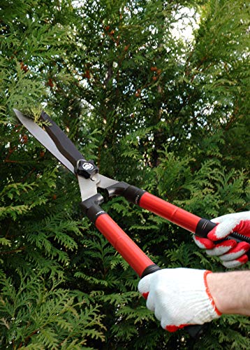- TABOR TOOLS | Mechanical Extendable Hedge Shears | Manual Hedge Clippers -