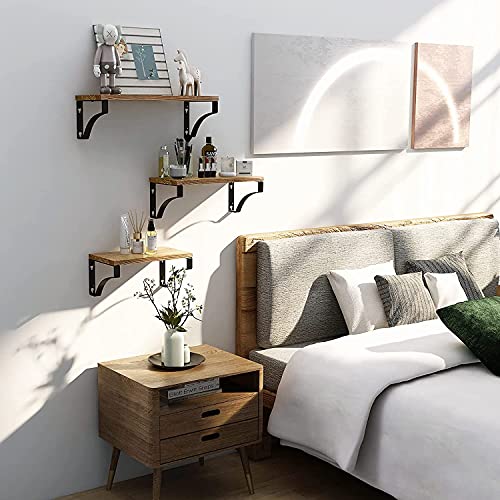 - Pipishell Floating Shelves Wall Mounted Shelf | Paulownia Wood Wall Shelves | Wooden Shelves Set of 3 -