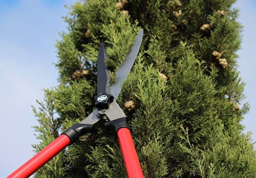 - TABOR TOOLS | Mechanical Extendable Hedge Shears | Manual Hedge Clippers -