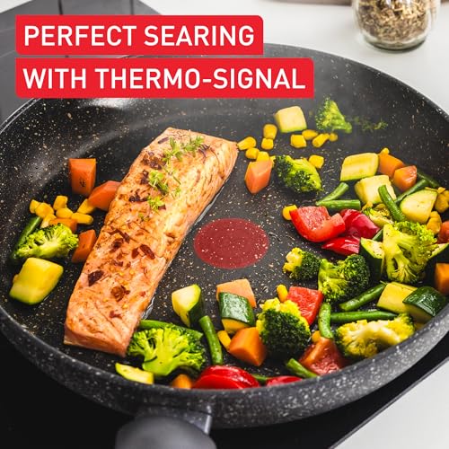 - Tefal | Stone Strength Aluminium Non Stick 28cm Frying Pan | Reinforced with Titanium Particles | Induction Compatible -