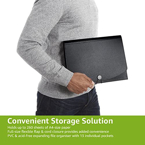 Amazon Basics Expanding File, A4 Size - Black