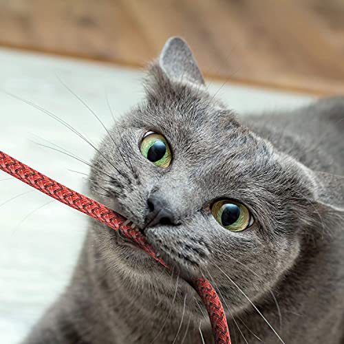 - Ofuca iPhone Charger | 3Pack | 6FT/1.8M -