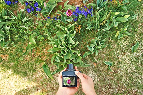 - Sony RX100 III | Advanced Premium Compact Camera | 24-70 mm F1.8-2.8 Zeiss Lens and Flip Screen for Vlogging -