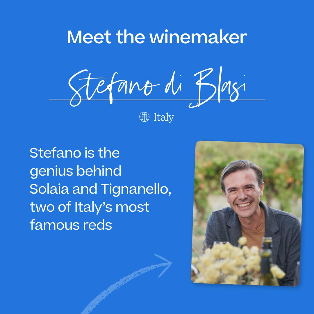 Award Winning Red Wine 12 Bottle Selection from Naked Wines | Case of 12 x Tempranillo, Cabernet Sauvignon, Merlot & More | Made by independent winemakers