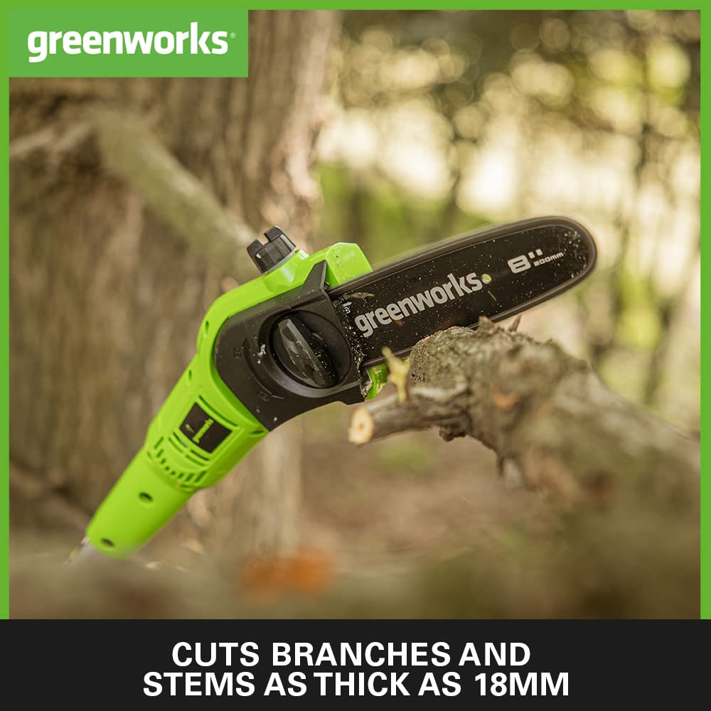 - Greenworks Cordless 2-in-1 Pole Saw And Pole Hedge Trimmer With Shoulder Strap -