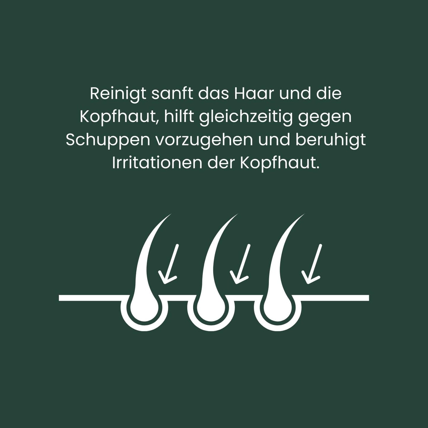 - ManCave Scalp Care Shampoo for Men | DHT Blocker Encourages Hair Growth -