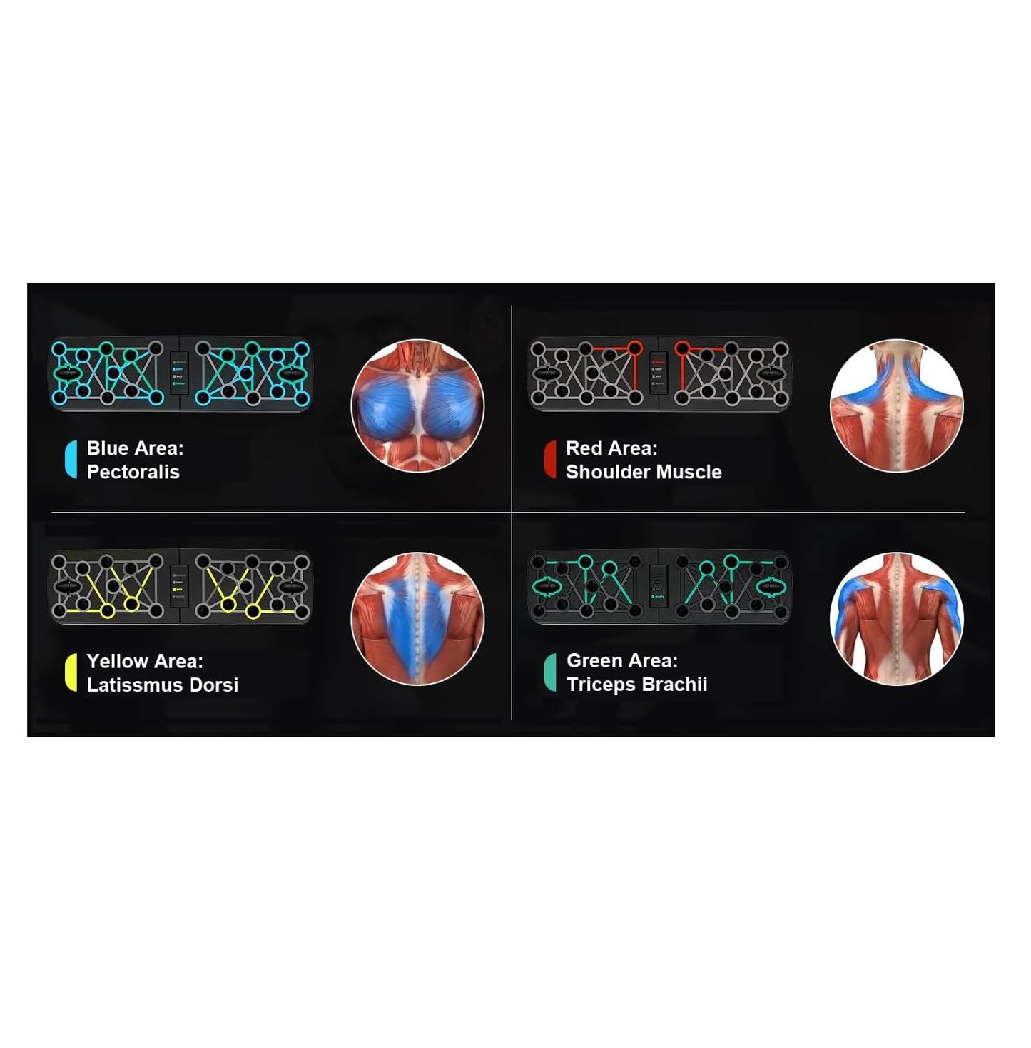 - Top Drawer Selection | 17 in 1 Push Up Board -