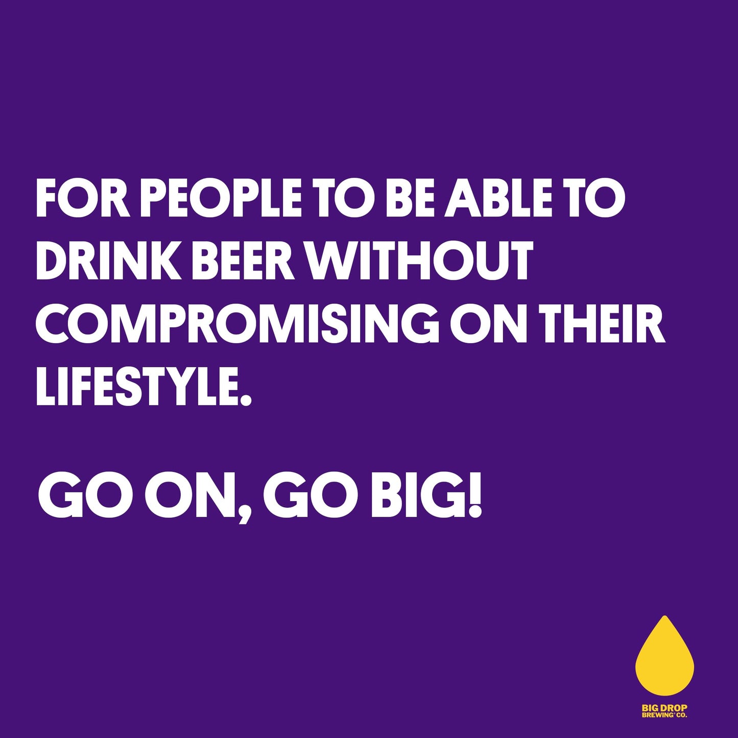 Big Drop Pine Trail Pale Ale - Naturally Brewed Alcohol Free Pale Ale with a Citrusy Bite - Vegetarian & Gluten Free (12 x 330ml Bottles)