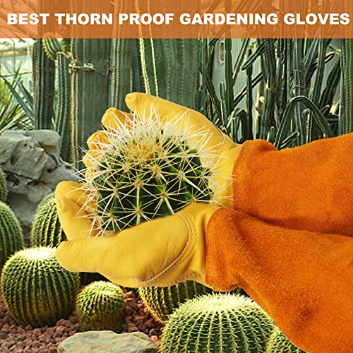 - SLARMOR Leather Gardening Gloves | Thorn Proof -
