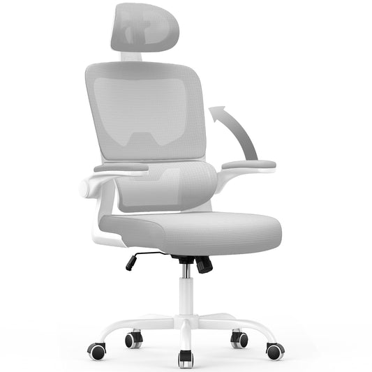 - naspaluro Office Chair | Ergonomic Office Chair with Lumbar Support | High Back -