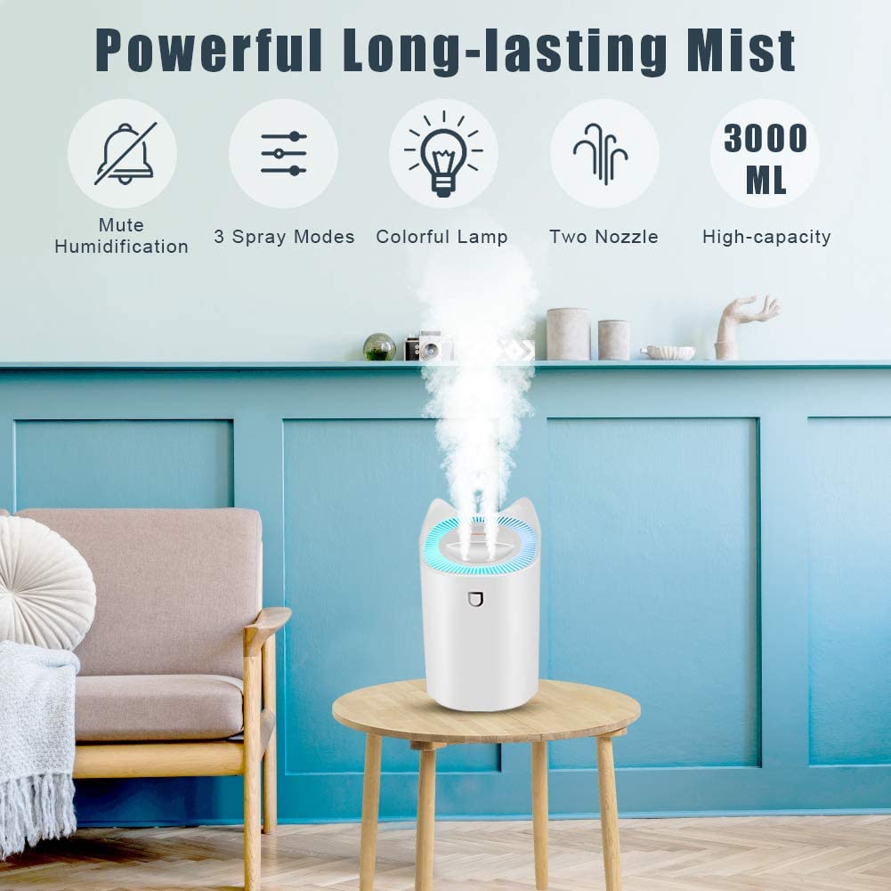 - Humidifier By Waiybbit | 3L Humidifier | 3 Mist Modes, 2 Nozzles, Auto Shut Off -