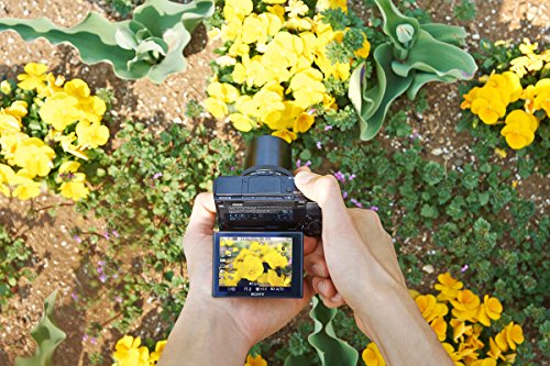 - Sony RX100 III | Advanced Premium Compact Camera | 24-70 mm F1.8-2.8 Zeiss Lens and Flip Screen for Vlogging -